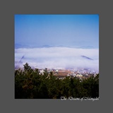 dailyPhoto1